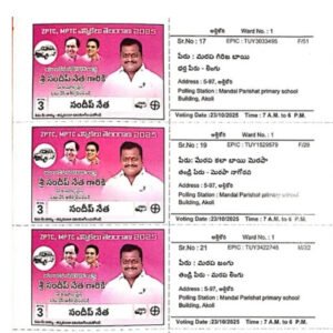 Voter's Slips