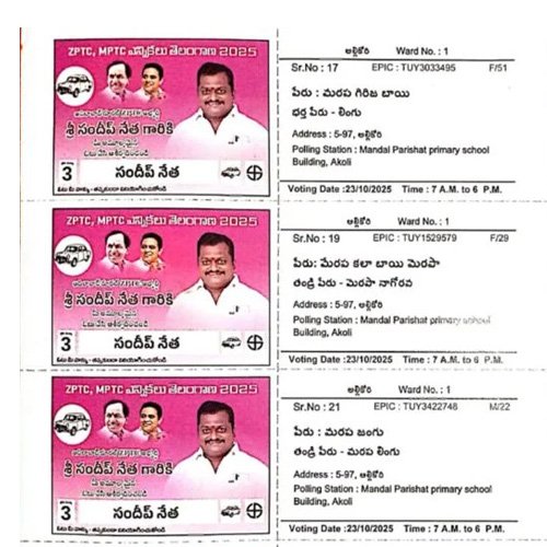 Voter's Slips